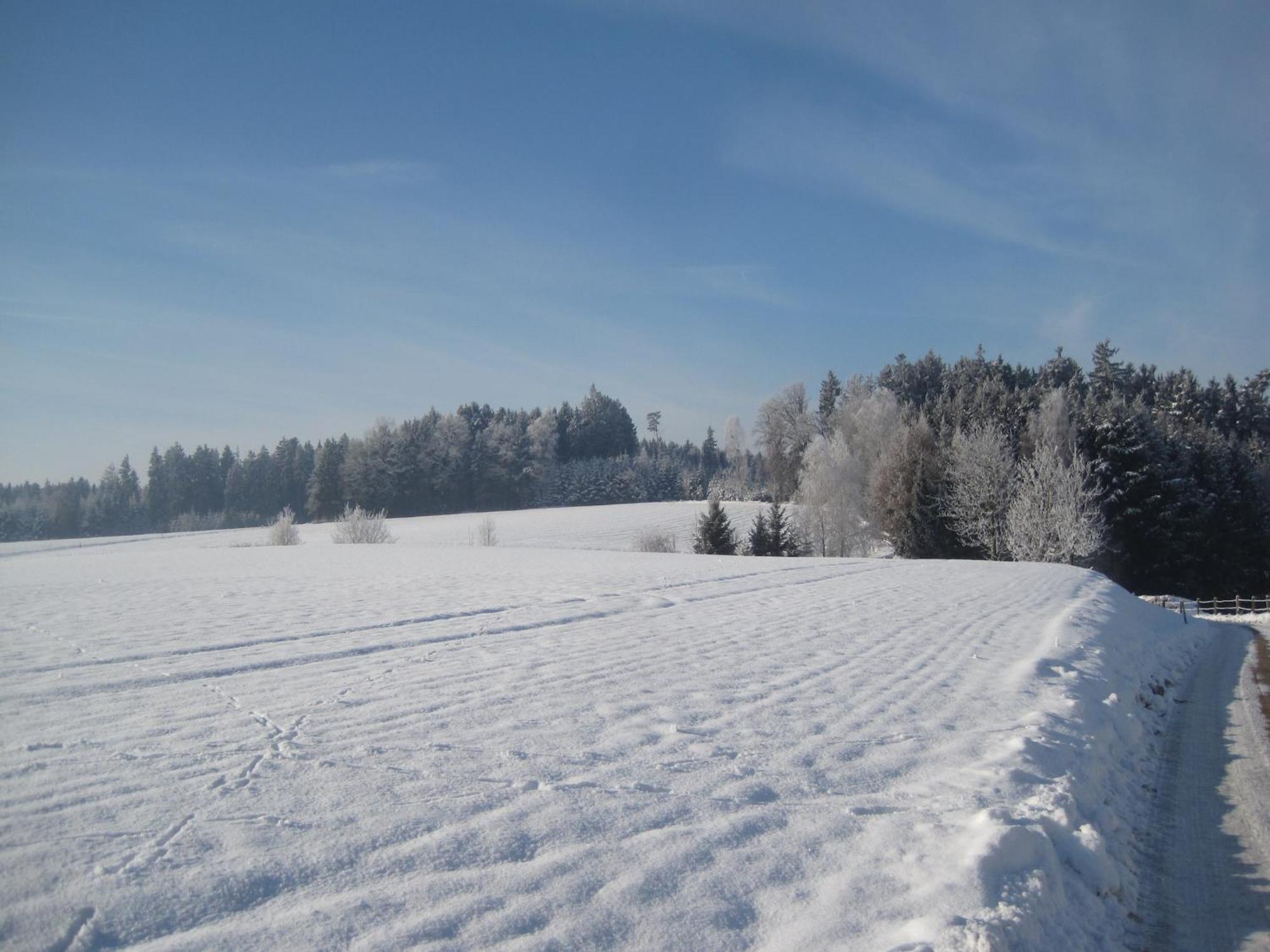 Comfortable Apartments In Rotthalm Nster Rotthalmuenster Екстер'єр фото