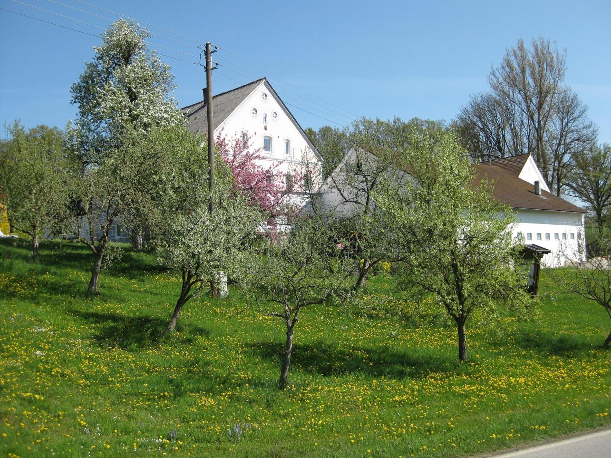 Comfortable Apartments In Rotthalm Nster Rotthalmuenster Екстер'єр фото