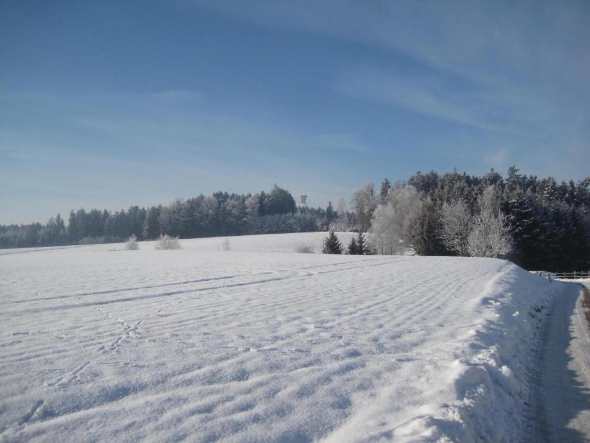 Comfortable Apartments In Rotthalm Nster Rotthalmuenster Екстер'єр фото