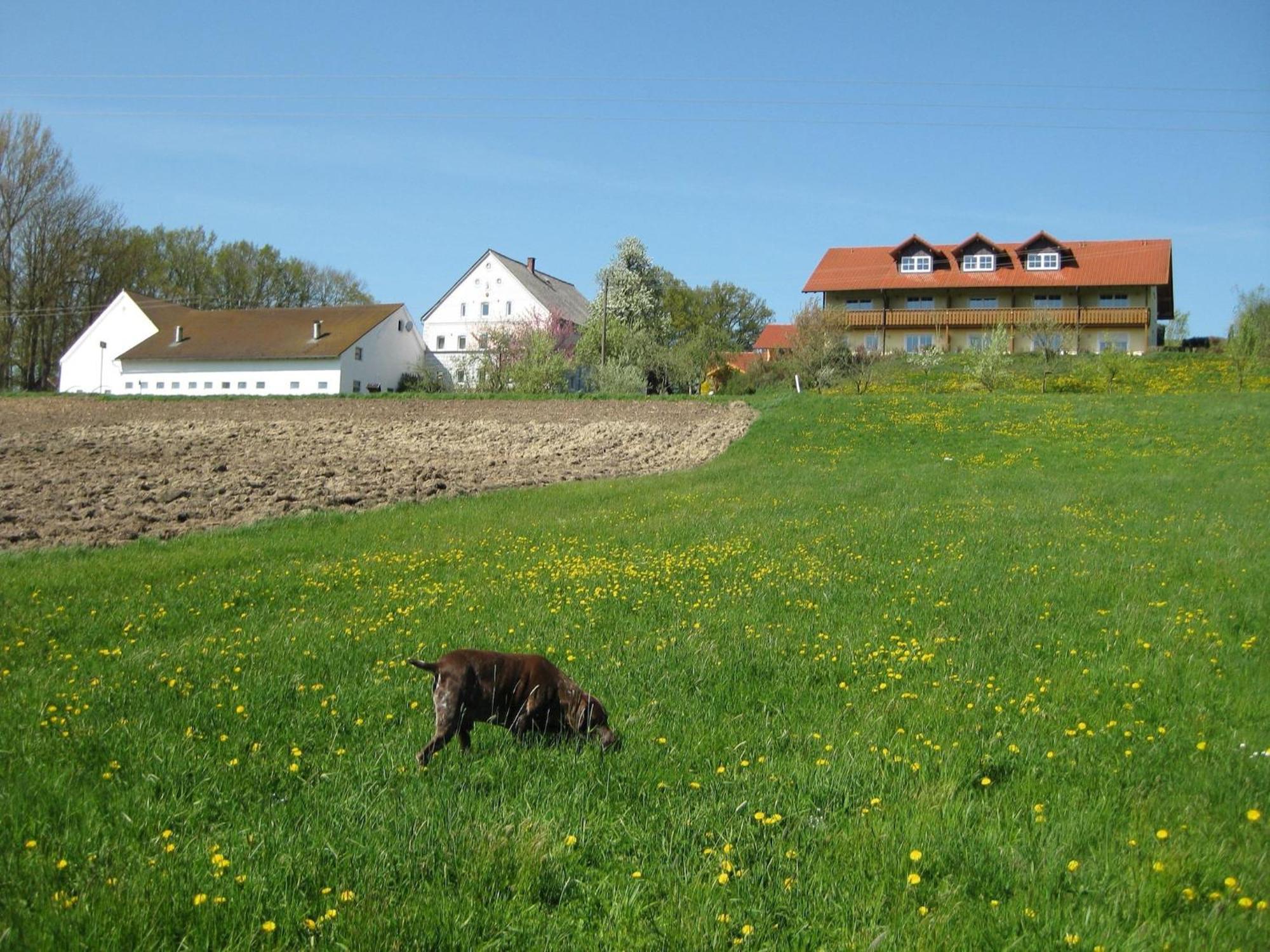 Comfortable Apartments In Rotthalm Nster Rotthalmuenster Екстер'єр фото