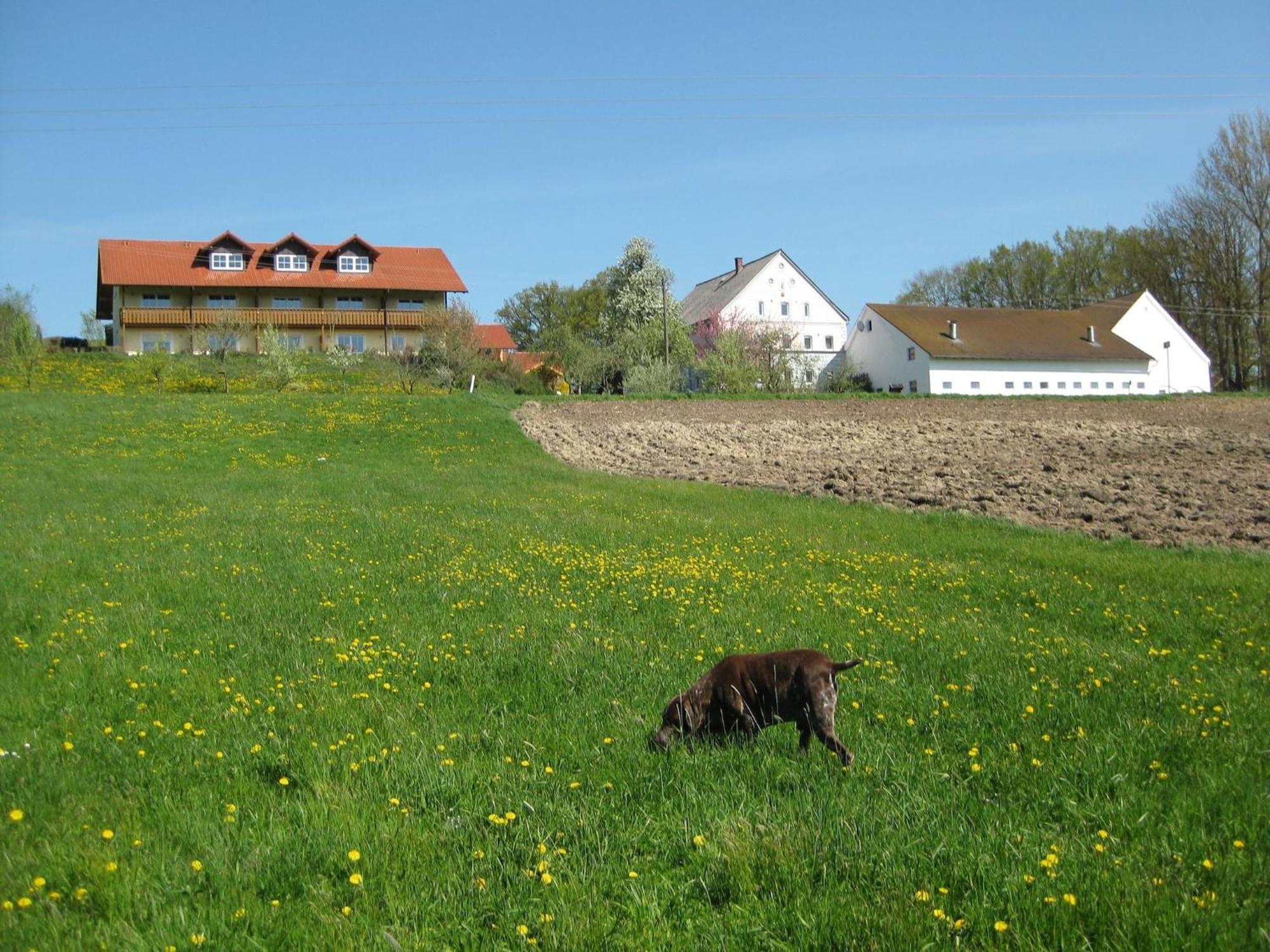 Comfortable Apartments In Rotthalm Nster Rotthalmuenster Екстер'єр фото
